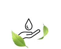 Depurazione e drenaggio@2x