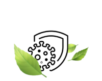 Difese immunitarie@2x