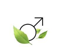 Essere Uomo@2x Essere Uomo@2x