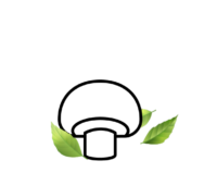 Micoterapia@2x Micoterapia@2x